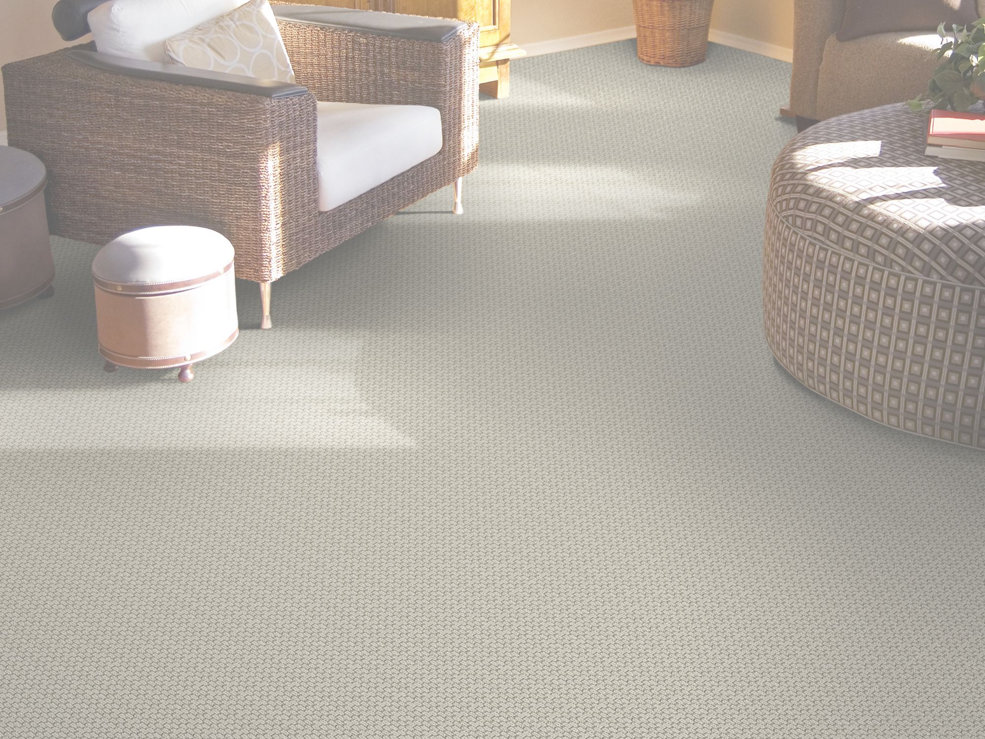textured beige carpets in a sunny living room in Carson City, NV