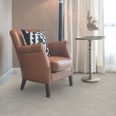 carpet in a Carson City living room